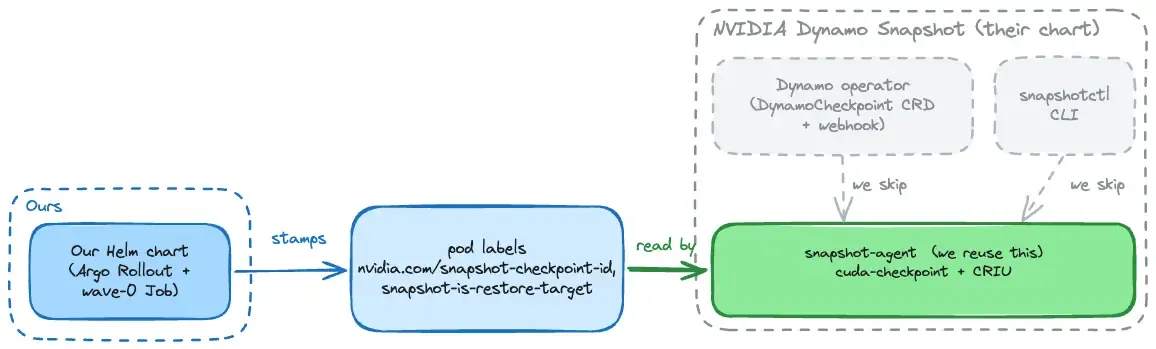 Our Helm chart, in blue and outside NVIDIA's box, stamps the pod labels; NVIDIA's snapshot-agent, in green and the only piece we reuse, reads those labels to restore the process. Dynamo's operator and the snapshotctl CLI, also inside NVIDIA's box, are greyed out as the paths we skip