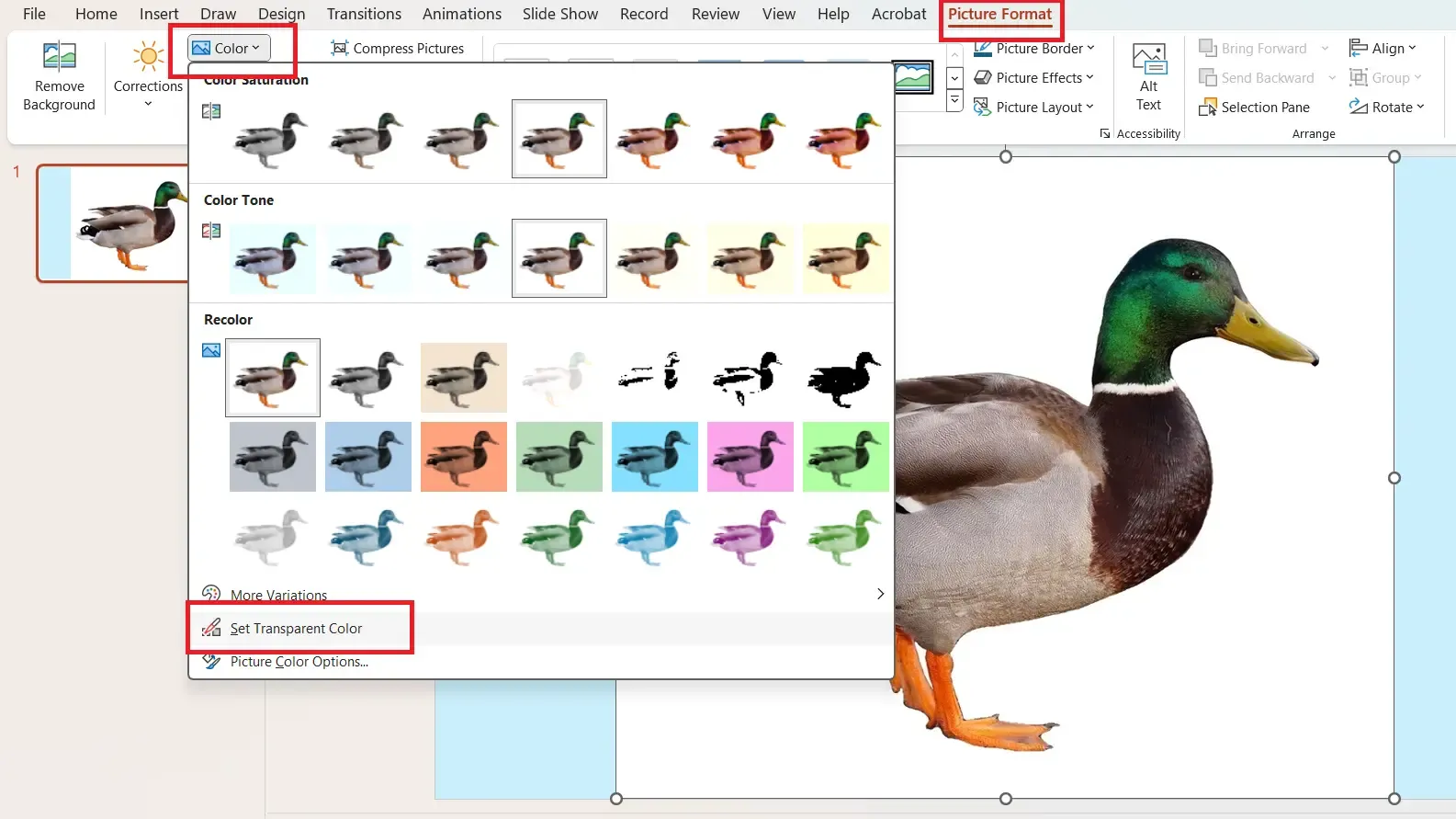 setting transparent color