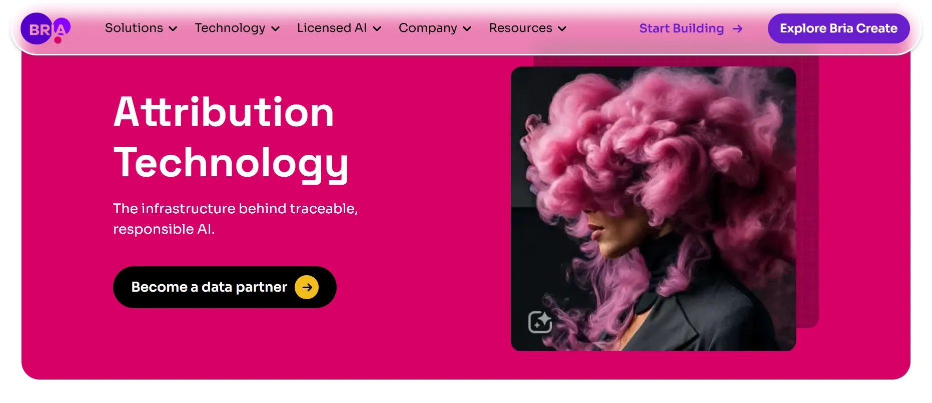 Bria's website showing "Attribution Technology" with a person having voluminous pink hair, offering to become a data partner.