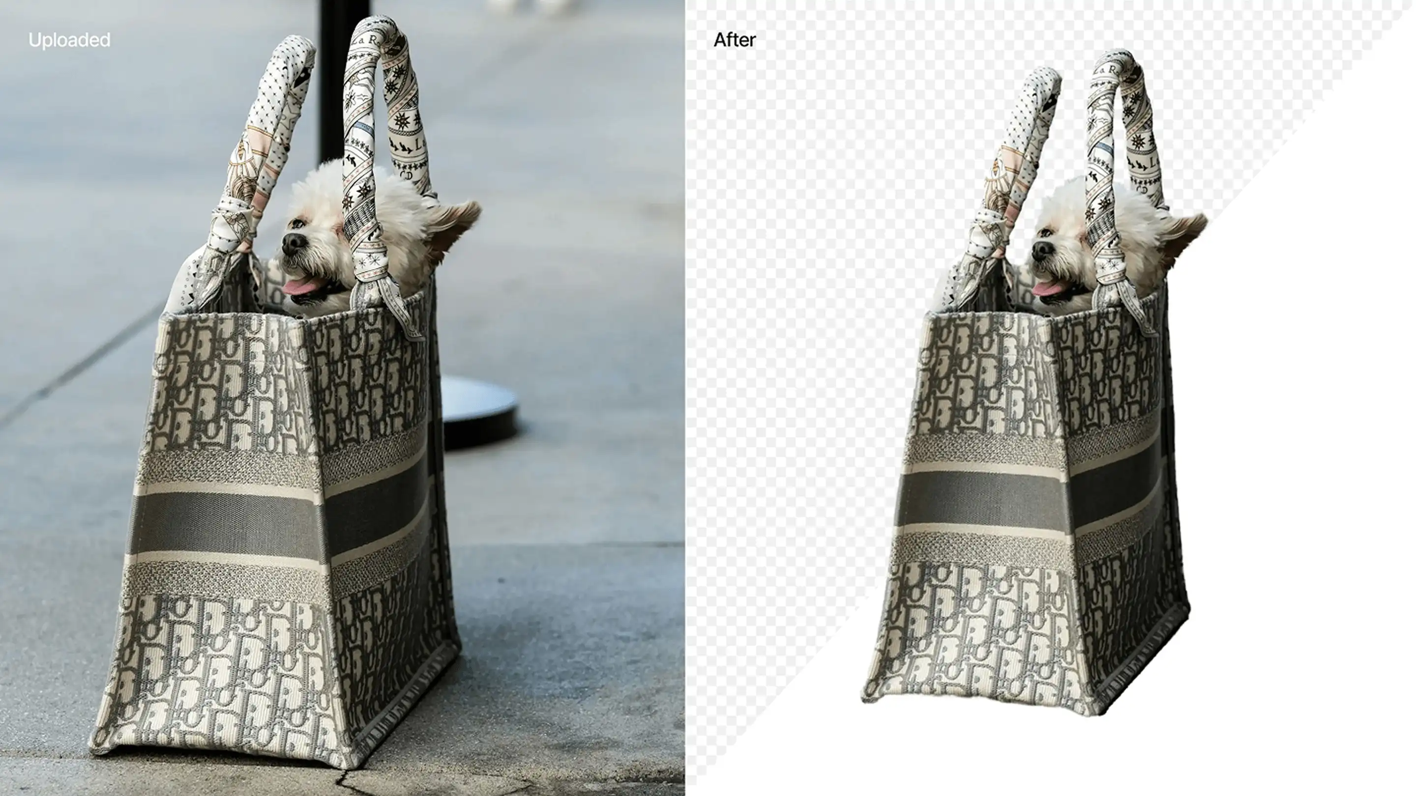 Example of Claid.ai background remover tool showing a dog in a handbag on a transparent background.